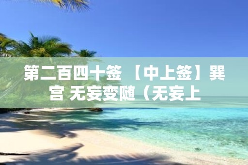 第二百四十签 【中上签】巽宫 无妄变随（无妄上