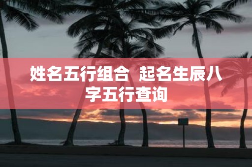 姓名五行组合 起名生辰八字五行查询