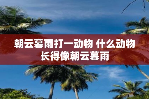朝云暮雨打一动物 什么动物长得像朝云暮雨