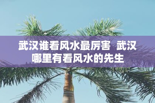 武汉谁看风水最厉害 武汉哪里有看风水的先生