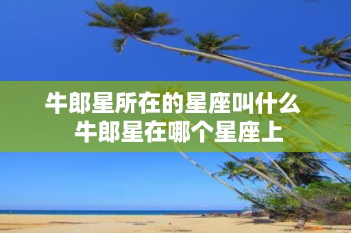 牛郎星所在的星座叫什么 牛郎星在哪个星座上