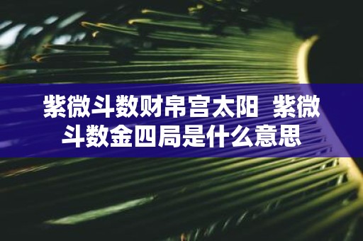 紫微斗数财帛宫太阳 紫微斗数金四局是什么意思