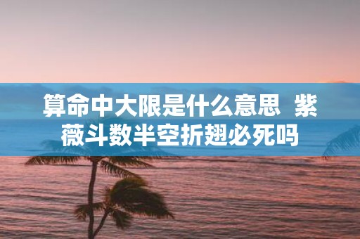 算命中大限是什么意思 紫薇斗数半空折翅必死吗
