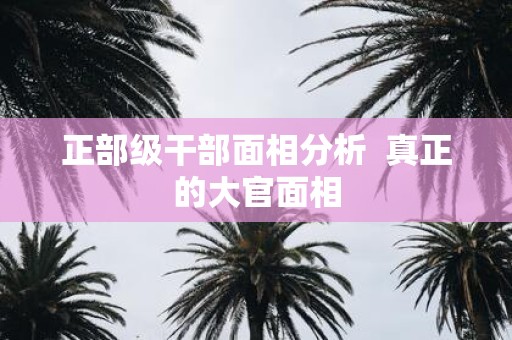 正部级干部面相分析 真正的大官面相