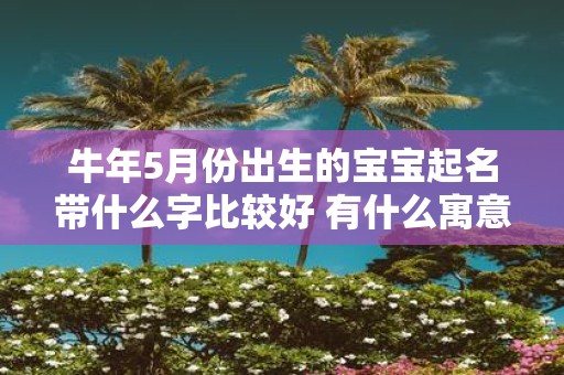 牛年5月份出生的宝宝起名带什么字比较好 有什么寓意