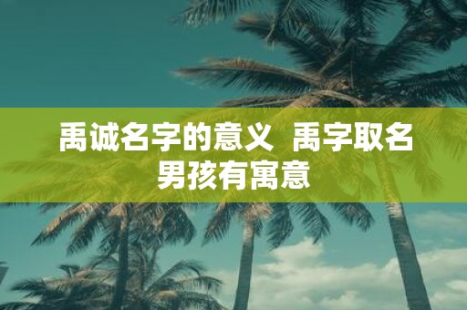 禹诚名字的意义 禹字取名男孩有寓意