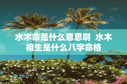 水木命是什么意思啊 水木相生是什么八字命格