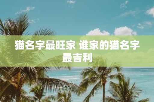 猫名字最旺家 谁家的猫名字最吉利