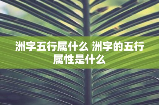 洲字五行属什么 洲字的五行属性是什么