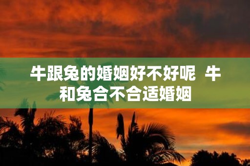 牛跟兔的婚姻好不好呢 牛和兔合不合适婚姻