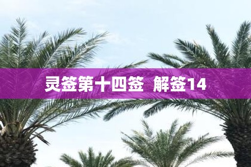 灵签第十四签 解签14