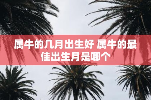 属牛的几月出生好 属牛的最佳出生月是哪个