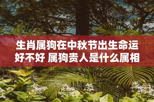 生肖属狗在中秋节出生命运好不好 属狗贵人是什么属相