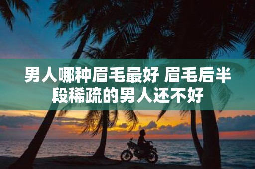 男人哪种眉毛最好 眉毛后半段稀疏的男人还不好