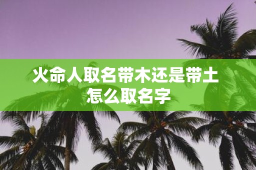 火命人取名带木还是带土 怎么取名字