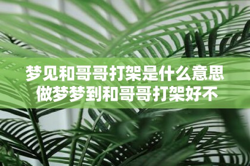 梦见和哥哥打架是什么意思 做梦梦到和哥哥打架好不好
