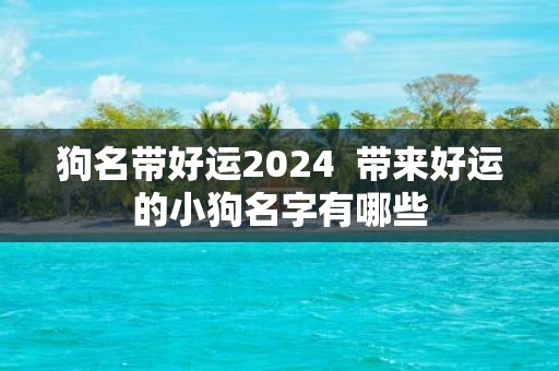 狗名带好运2025 带来好运的小狗名字有哪些