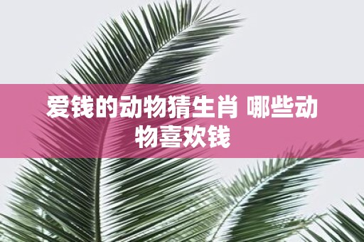 爱钱的动物猜生肖 哪些动物喜欢钱