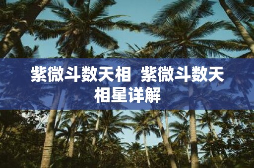 紫微斗数天相 紫微斗数天相星详解