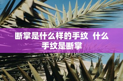 断掌是什么样的手纹 什么手纹是断掌