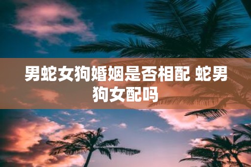 男蛇女狗婚姻是否相配 蛇男狗女配吗