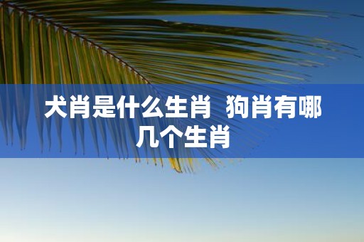 犬肖是什么生肖 狗肖有哪几个生肖