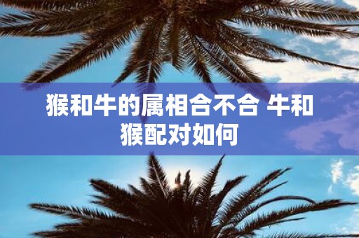 猴和牛的属相合不合 牛和猴配对如何