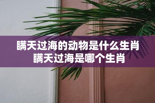 瞒天过海的动物是什么生肖 瞒天过海是哪个生肖