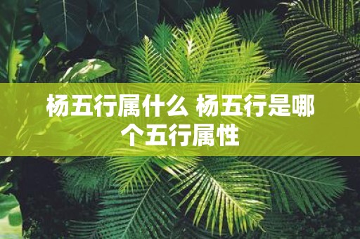 杨五行属什么 杨五行是哪个五行属性