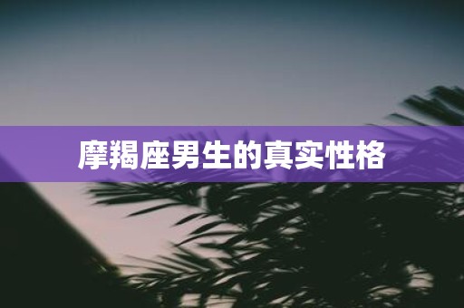 摩羯座男生的真实性格