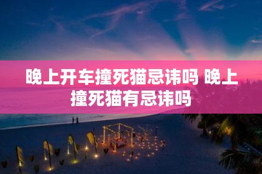 晚上开车撞死猫忌讳吗 晚上撞死猫有忌讳吗