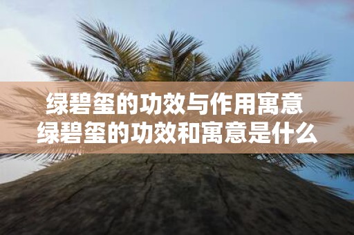 绿碧玺的功效与作用寓意 绿碧玺的功效和寓意是什么