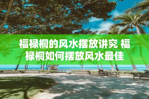 福禄桐的风水摆放讲究 福禄桐如何摆放风水最佳