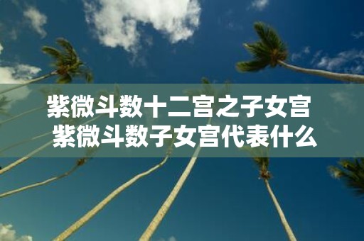 紫微斗数十二宫之子女宫  紫微斗数子女宫代表什么