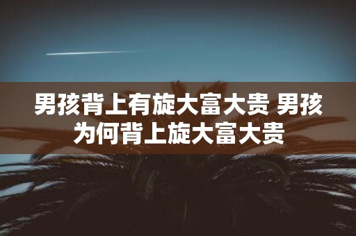 男孩背上有旋大富大贵 男孩为何背上旋大富大贵