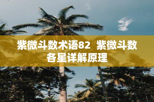 紫微斗数术语82 紫微斗数各星详解原理