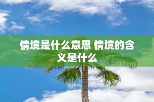 情境是什么意思 情境的含义是什么