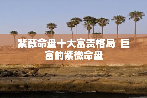 紫薇命盘十大富贵格局 巨富的紫微命盘