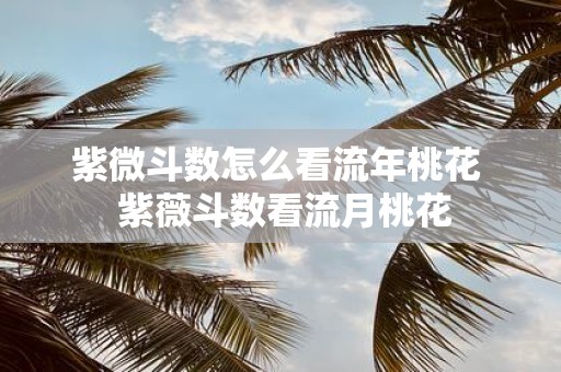 紫微斗数怎么看流年桃花 紫薇斗数看流月桃花