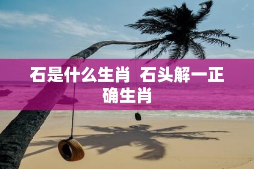 石是什么生肖 石头解一正确生肖