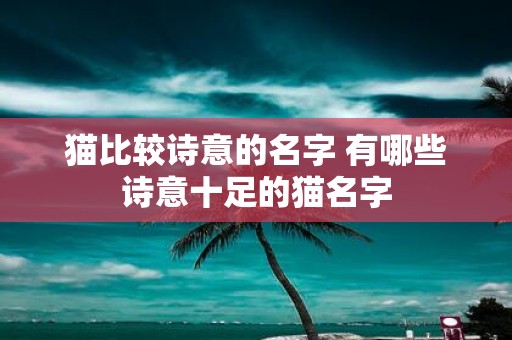 猫比较诗意的名字 有哪些诗意十足的猫名字
