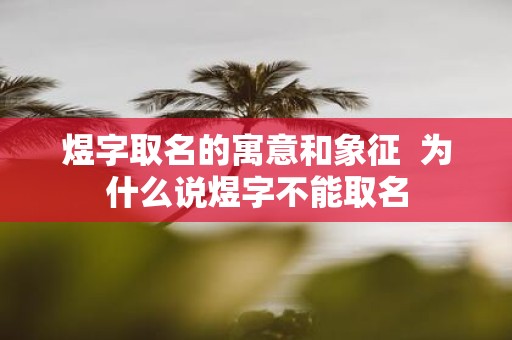 煜字取名的寓意和象征 为什么说煜字不能取名