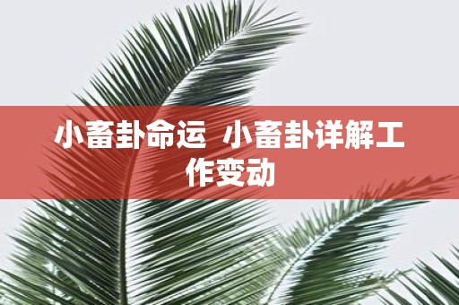 小畜卦命运 小畜卦详解工作变动