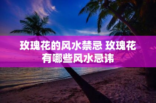 玫瑰花的风水禁忌 玫瑰花有哪些风水忌讳