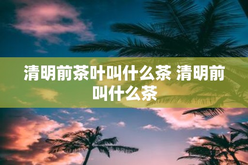 清明前茶叶叫什么茶 清明前叫什么茶