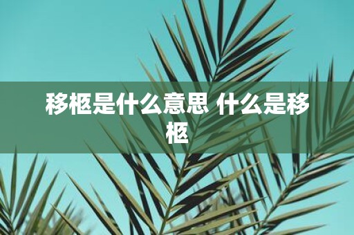 移柩是什么意思 什么是移柩