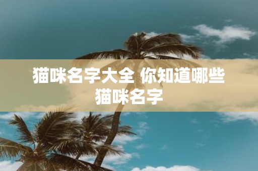 猫咪名字大全 你知道哪些猫咪名字
