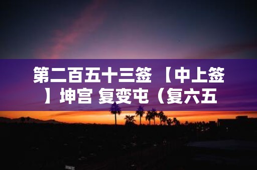 第二百五十三签 【中上签】坤宫 复变屯（复六五