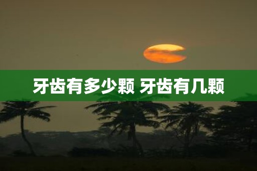 牙齿有多少颗 牙齿有几颗