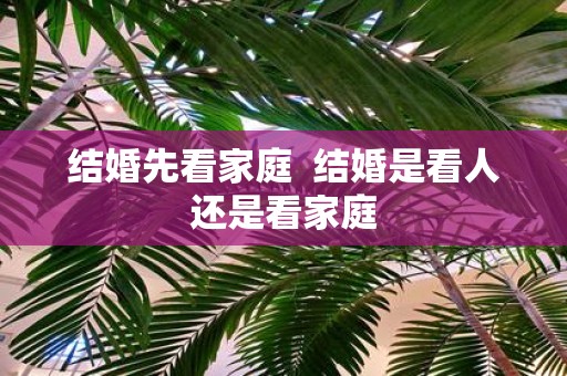 结婚先看家庭 结婚是看人还是看家庭